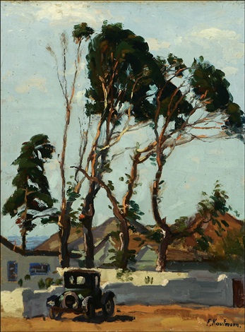 Eucalyptus Trees in Laguna Beach, Calif.